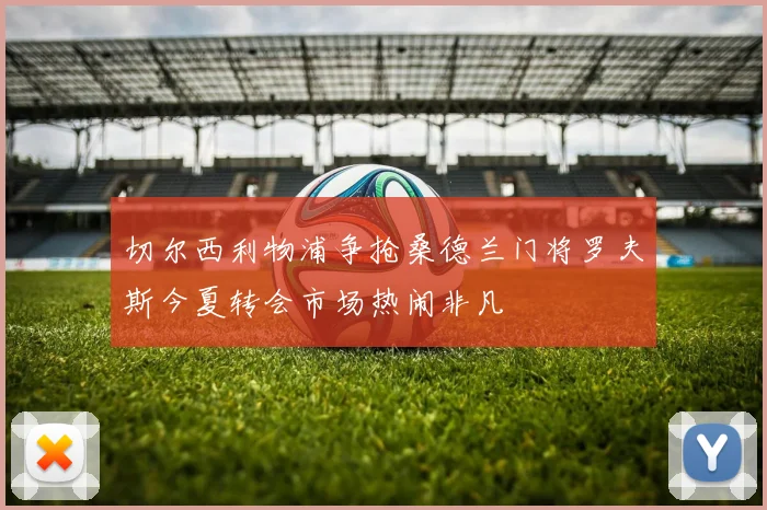 切尔西利物浦争抢桑德兰门将罗夫斯今夏转会市场热闹非凡