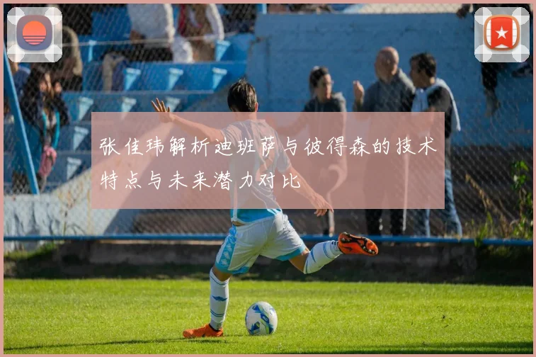 张佳玮解析迪班萨与彼得森的技术特点与未来潜力对比